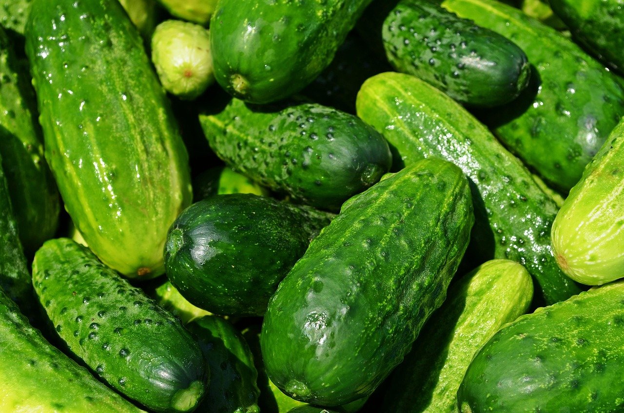 Cetrioli: L’Alleato Ideale per Idratazione, Bellezza e Benessere